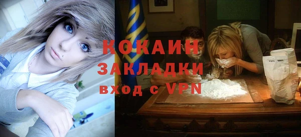 индика Алексеевка