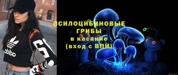 прущий лед Алзамай