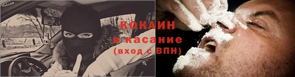 индика Алексеевка