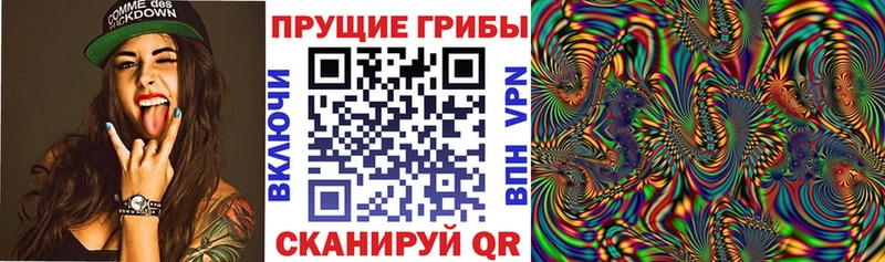 MEGA вход  купить   Находка  Галлюциногенные грибы мухоморы 